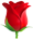 Reconstitue le bouquet de Roses 4170210520